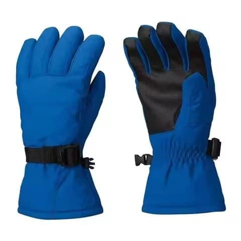 Solid Royal Blue Insulated Ski Winter Gloves